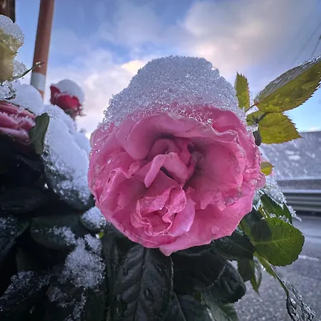 Σαλέ La Rose D Eva