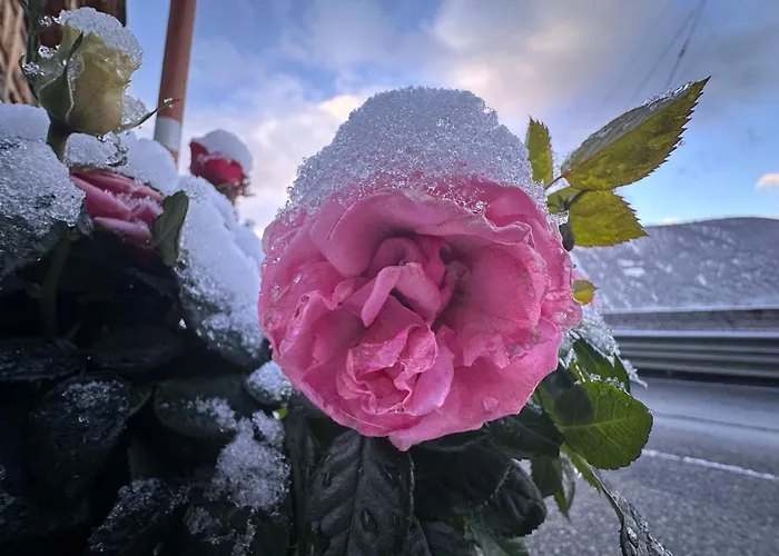 Σαλέ La Rose D Eva