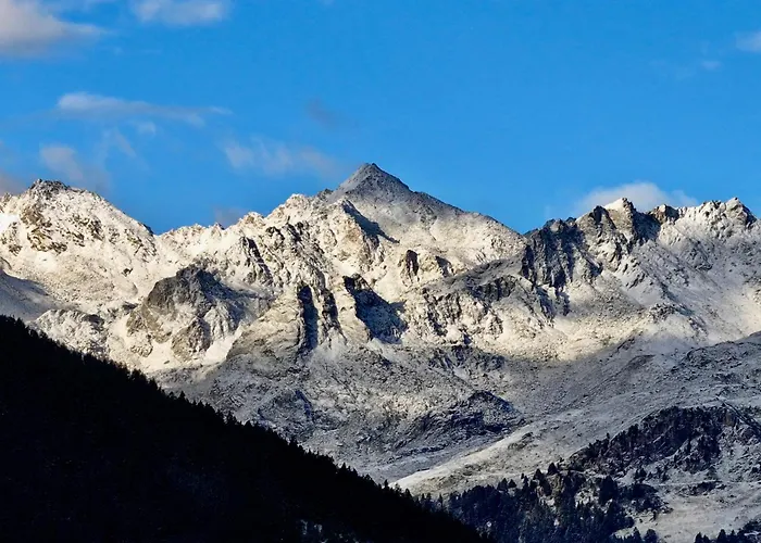 シャレー La Rose D Eva *