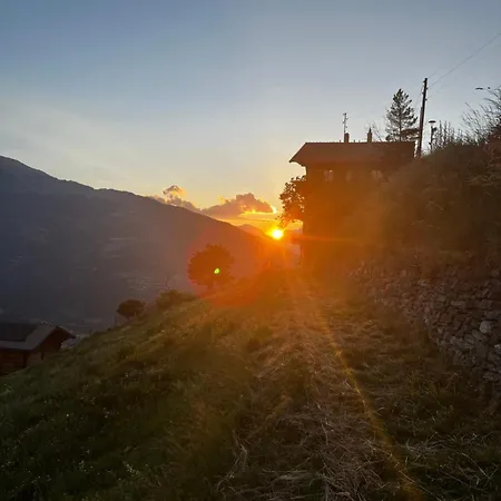 La Rose D Eva Domek alpejski